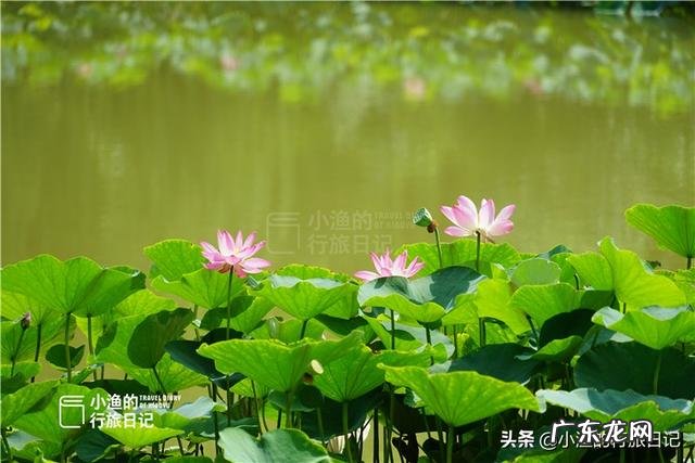 西安有个皇家澡堂子,门票120元,外地游客争先恐后来打卡