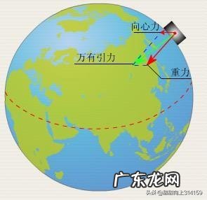 牦牛的生长区域在什么地方