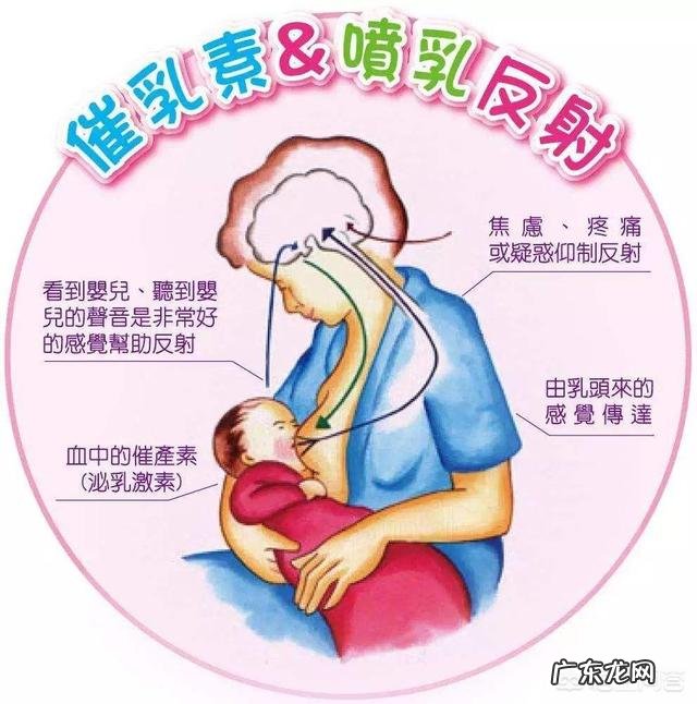 产后奶水不足怎么办?生完宝宝还能恢复孕前吗?产后禁忌有哪些?