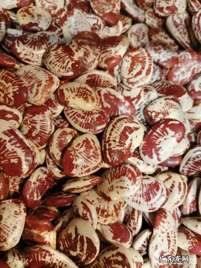 糖尿病患者该做什么运动减肥?