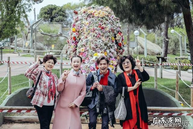 被天生自带的“高ji感”毁掉的演员有哪些？