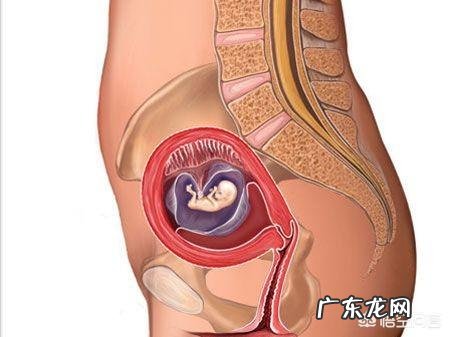 怀孕晚期的孕妇如何练习瑜伽?