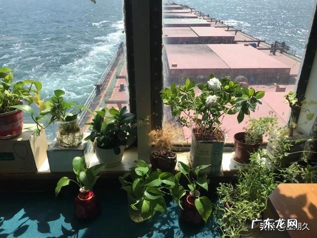 韩国船员有女性,你们和韩国女船员同船过吗?感觉怎么样?