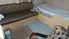 韩国船员有女性，你们和韩国女船员同船过吗？感觉怎么样？