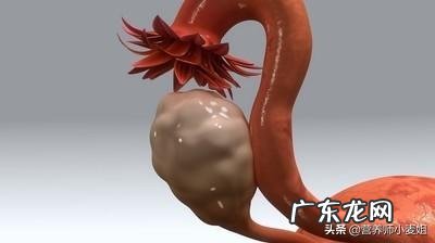 你见过胆子最大的人是什么样？