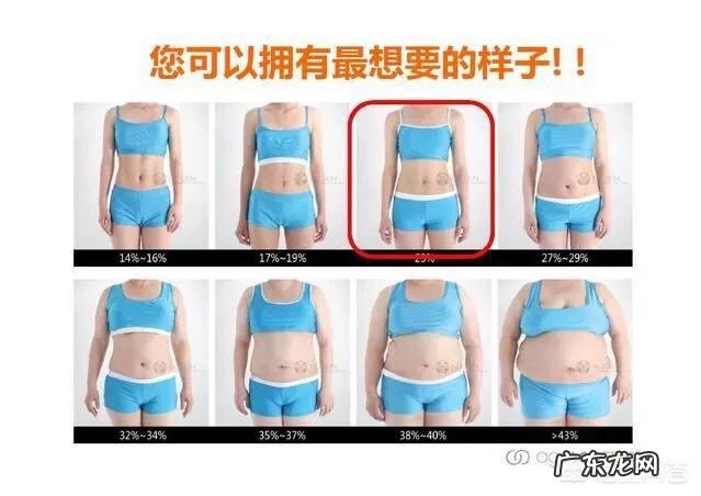 腹肌和体脂有怎样的关系?