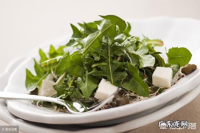 春天是吃野菜的季节,有哪些好吃的野菜及做法?