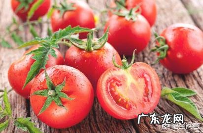 夏季来临燃烧脂肪瘦身,吃什么蔬菜水果能减肥?