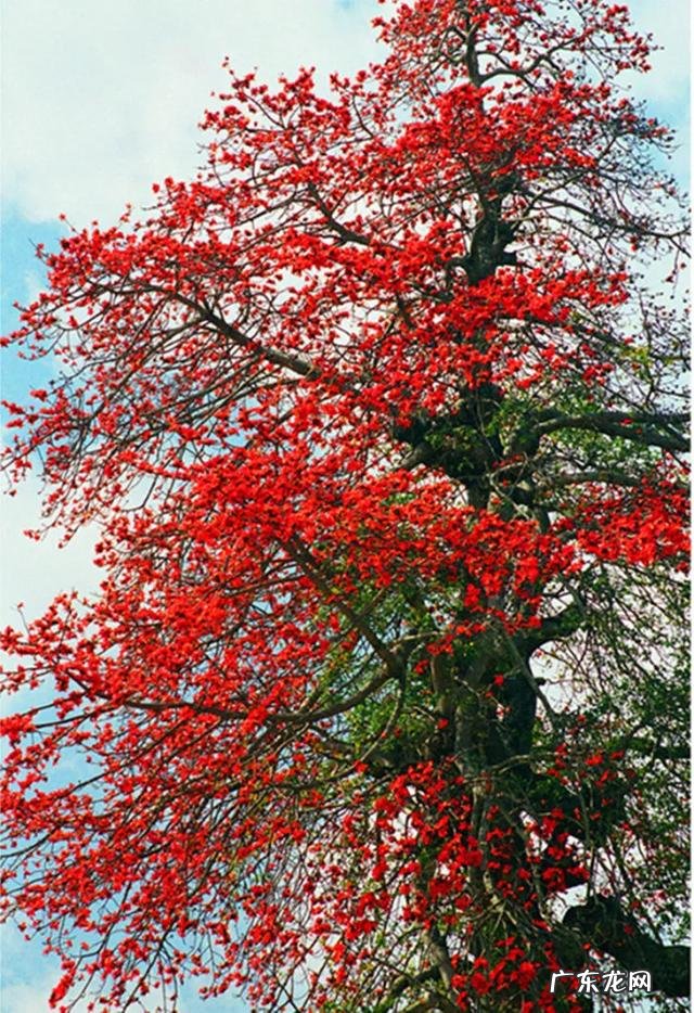 身体重要还是钱重要当今社会什么diyi