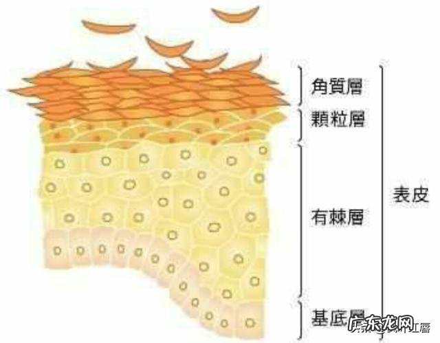 有哪些护肤品可以淡化晒斑?
