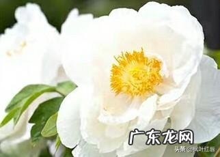 有哪些护肤品可以淡化晒斑?