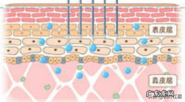 有哪些护肤品可以淡化晒斑?