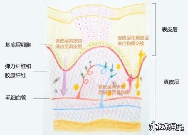 有哪些护肤品可以淡化晒斑?