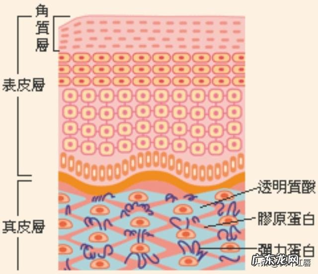 有哪些护肤品可以淡化晒斑?