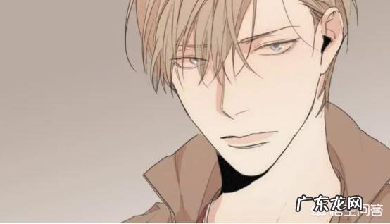 微信公众号里那些付费的韩国漫画是从哪里引进来的？