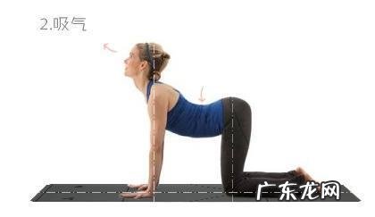 身高160是胖点好看还是瘦点好看