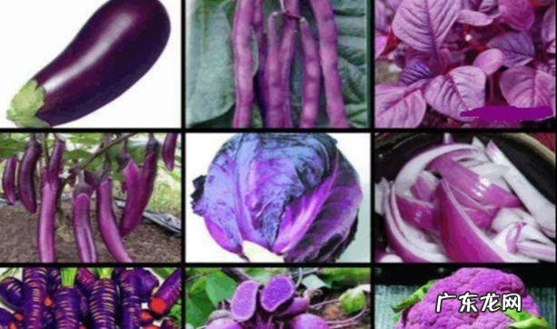 女人衰老,身体会有3处“走样”,你知道是哪些地方走样了吗?