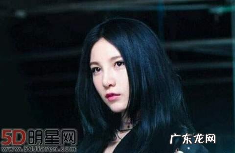 中国最美最漂亮的回族女明星都有谁?