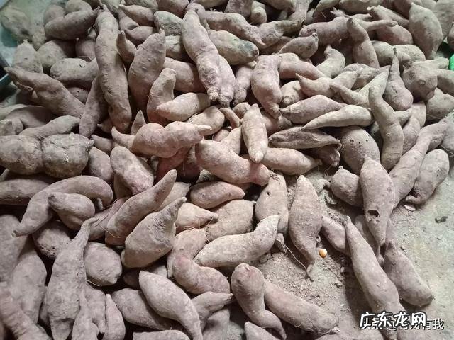 你吃个红薯干煮饭,煮菜吗?好吃吗?