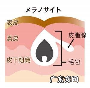 如何快速祛湿、祛痘。在线等！急？