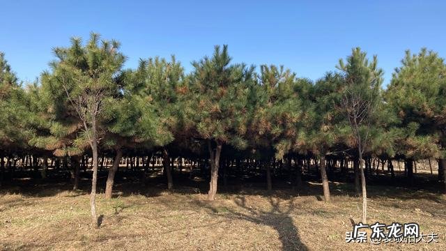 人过六十,最怕心梗、脑梗,有提前预防的办法吗