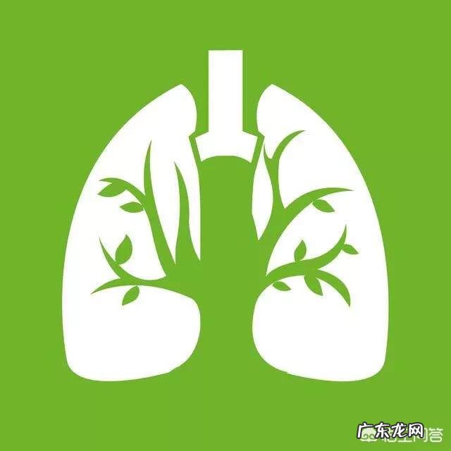 肺结核好了之后吃什么补养身体