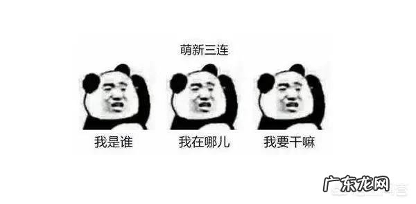 如果可以尽情放纵一次，你最想做的一件事是什么，为什么？