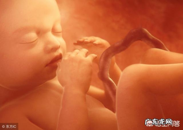 小孩一周到四十周，怀孕的胎儿是怎么变化的