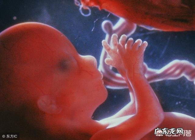 小孩一周到四十周，怀孕的胎儿是怎么变化的
