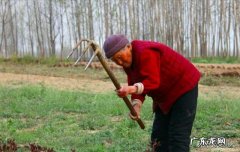 五十以上的老人是赚钱重要，还是保养身体重要