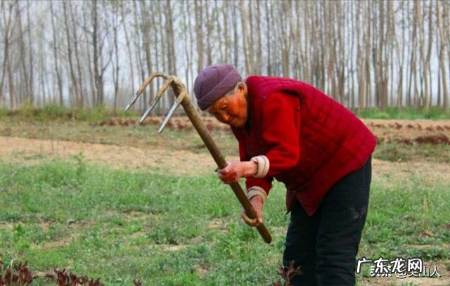 五十以上的老人是赚钱重要,还是保养身体重要