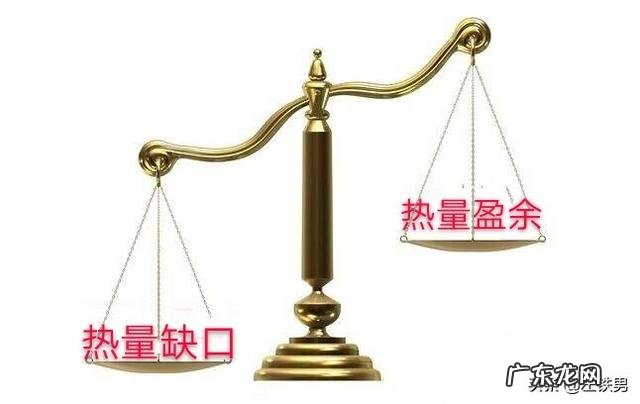 每天早上坚持快走五公里,能减肥吗?