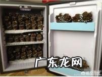 有哪些明星是在卖吃货人设?