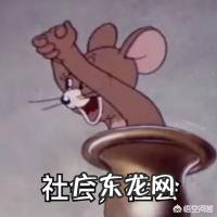 有哪些明星是在卖吃货人设?