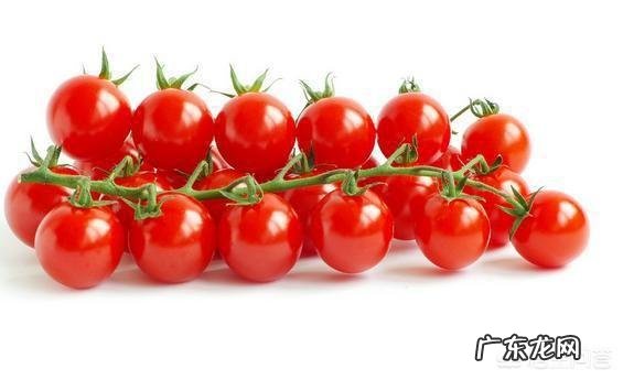 西红柿和圣女果相比,哪种能更减肥? 圣女果西红柿哪个减肥