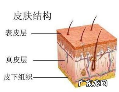 有哪些可以有效祛斑的精油?