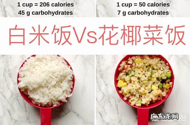 碳水化合物蛋白质脂肪对应哪些食物?