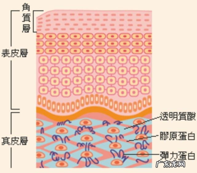 提亮 化妆品的功效到底是什么意思？怎么样？