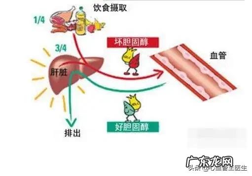 反应蛋白高会是哪些病因？