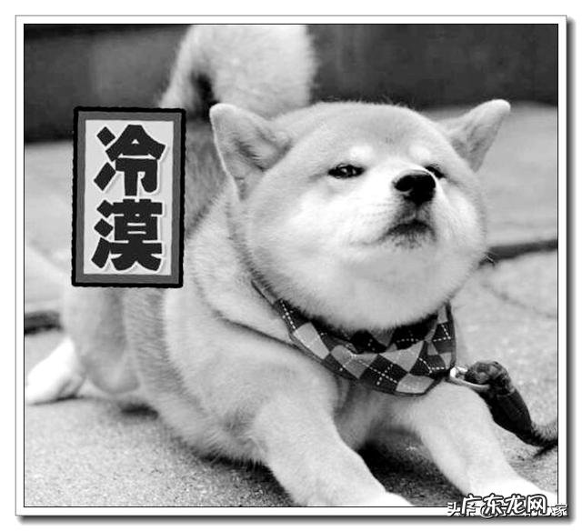 英格兰和苏格兰是什么关系?