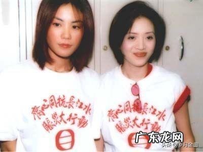 王菲在世界歌坛中属于什么水平如何评价王菲的唱歌实力