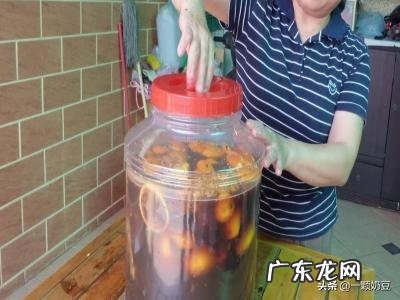 家庭阳台种菜如何自制肥料——环保酵素制作? 如何用环保酵素种菜