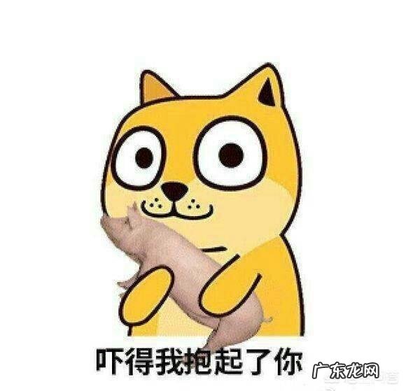 作为一个高中生,如何在不占用大量时间的情况下减肥?