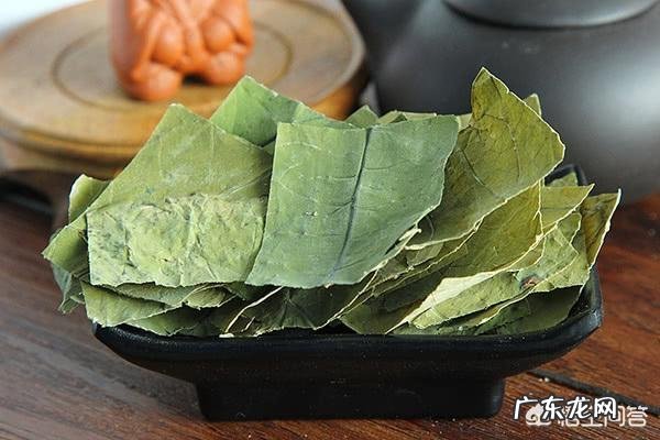 网上说的荷叶冬瓜茶真的能减肥吗?