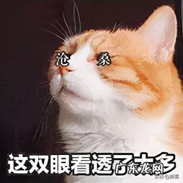 骨相和皮相区别 骨相与皮相化妆区别