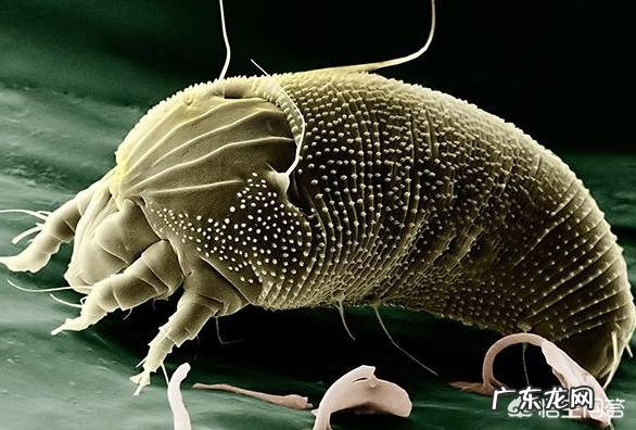 为什么“学生x”掉发比较严重跟什么原因有关呢