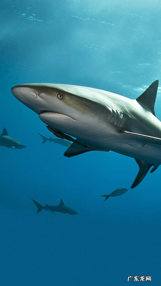 为什么“学生x”掉发比较严重跟什么原因有关呢