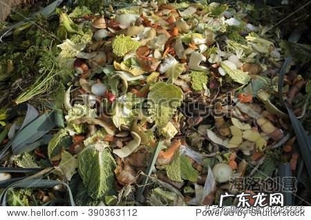 垃圾分类的意识和习惯，大人赶上孩子了吗