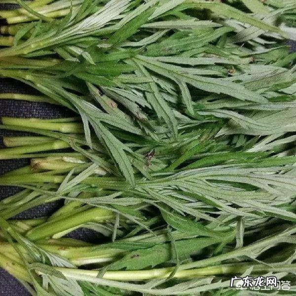 夏天都有哪些应季菜?该怎么做才好吃? 夏天哪些菜比较好吃