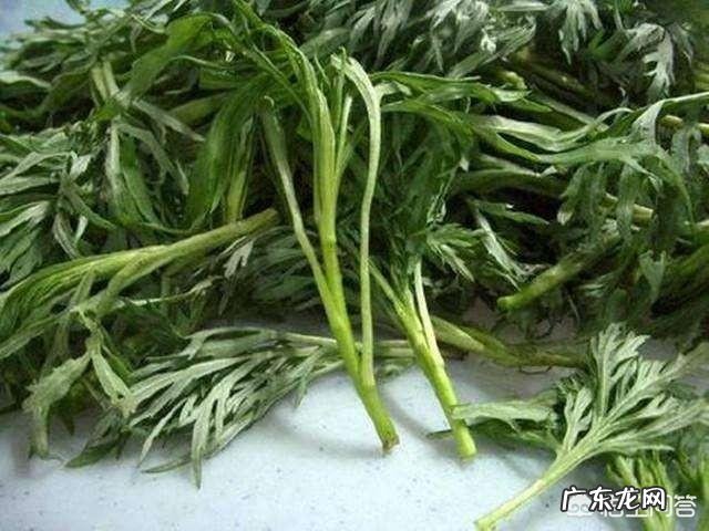 夏天都有哪些应季菜?该怎么做才好吃? 夏天哪些菜比较好吃